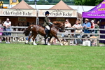 SBM_07950