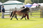 SBM_00641