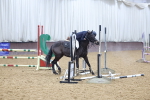 SBM_003308