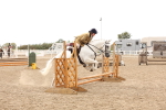 SBM_06767