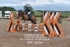 BPP_8454