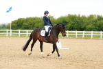 SBM_006586