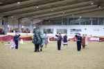 SBM_10202