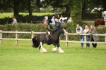 SBM_71695