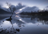 Lone tree, Llyn Padarn, Llanberis, North Wales