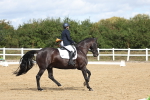 SBM_001927