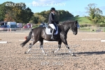 BPP_9461