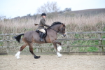 SBM_007206