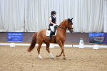 SBM_003641