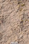 231015A-134320-08410