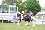 SBM_17165