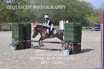 BPP_1091
