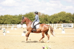 SBM_018173