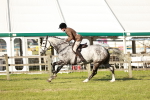 SBM_20112