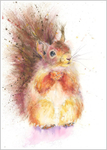 SQUIRREL Fine Art Print 505 B