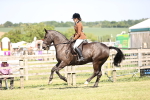 SBM_18615