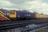 20th April 1991