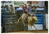 Rodeo Portfolio - Bull Riding 01