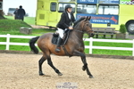 Cls 33 85cm Amateur Quali portfolio