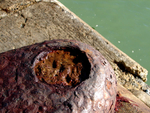 Shoreham Fort - 60
