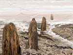 M53  Fluid Beach