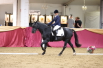Class 51 Dressage to Music portfolio