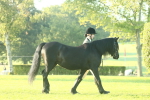SBM_57307