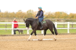 SBM_001012