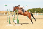 SBM_003291