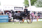 SBM_05769