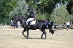 WJ7_9507