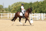 SBM_022249