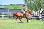SBM_17410