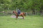 WJ6_3220