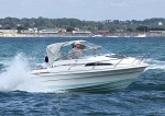 090823 WILD GOOSE IMG_1323
