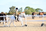 SBM_07795