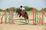 SBM_011653