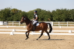 SBM_006477