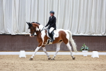 SBM_001665