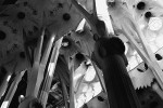 Sagrada Familia (Barcelona) #3