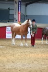 SBM_03094
