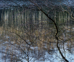 Llyn y Parc