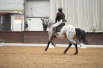SBM_001916