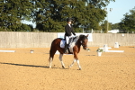 SBM_14153