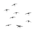 Landing Gear--Graphic