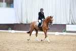 SBM_000997