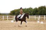 SBM_006740