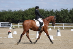 SBM_020881