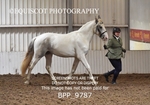 BPP_9787