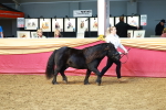 SBM_18436